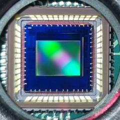 Димитрий Откупман, Москва