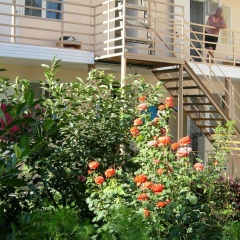 Зинаида Васильевна, 06.01.1952, Анапа