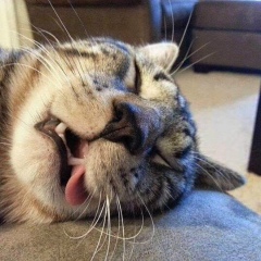 Юрий Копосов, 21.03, Ижевск