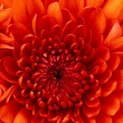 Жулдыз Сарсебаева, 17.11, Киев