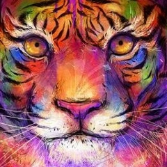 Петр Троцкий, 01.09.1990, Санкт-Петербург