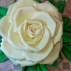 Екатерина Ярошик, 07.06, Запорожье