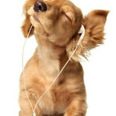 Анна Дубинина, Лиски