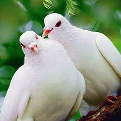 Светлана Башкатова, 07.11, Харьков