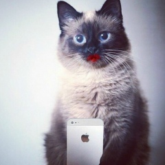 Ирина Хаткевич, 13.01.1987, Warszawa