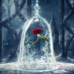 Balausa Shynkozhaeva, 02.03.1992, Шымкент