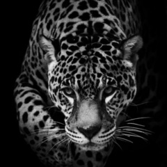 Евгений Овчинников, 13.01, Москва