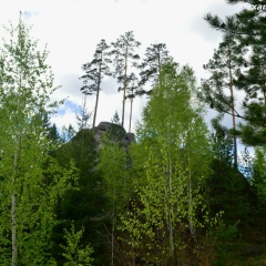 Свет Свет, Санкт-Петербург