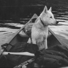 Серёжа Истомин, 22.10