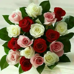 Айгуль Бисенбаева, Актобе