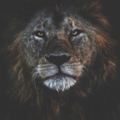 Магомед Шапиев, 26.05, Махачкала