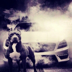 Самвел Чакра, 06.09, Краснодар