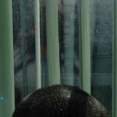 Слава Стасов, 10.10.1983, Донецк