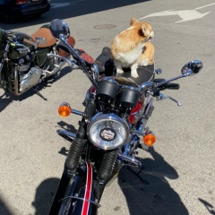 Антон Турчин, 24.07.1970