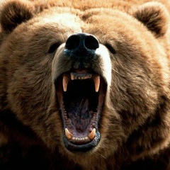 Синоптик А, Шымкент