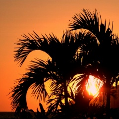 Дмитрий Лазутин, 22.09