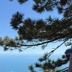 Александр Мищенко, Москва