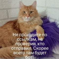 Александра Красильникова, 10.05, Пермь