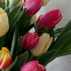 Ирина Ахмедова, 15.03, Истра