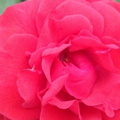 Мария Лукьянова, 18.10.1986, Москва