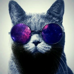 Rash Ars, Москва