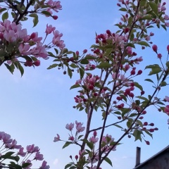 Айгуль Султанова, 04.07.1980