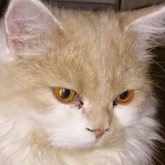 Сергей Ишутин, 16.11.1976, Благовещенск