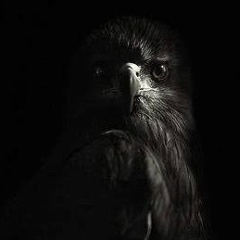 Tabriz Mahmudov, 06.10, Баку