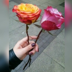 Алена Пантелеева, Курган