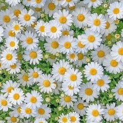 Варвара Войтова, 18.08.1982