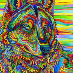 Tiago Brandao, 20.11, Rio de Janeiro