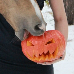Юля Шадрина, 28.12, Новосибирск