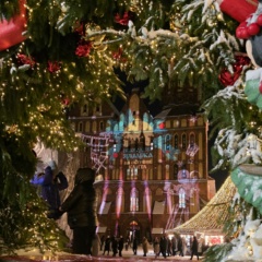 Имя Фамилия, Воронеж