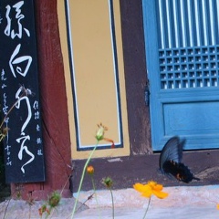 Евгения Болдескул, 23.12, Seoul