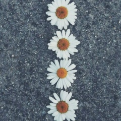 Begimay Djunushalieva, 02.11, Бишкек