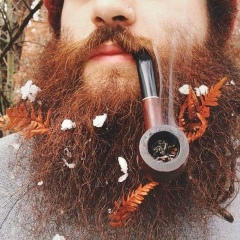 Димитрий Панфилов, 15.04, Херсон