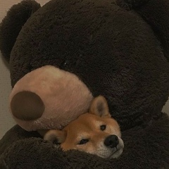 Александр Медведев, 09.01, Praha