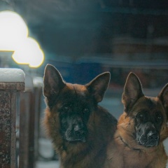 Анастасия Кургузова, 07.10, Санкт-Петербург