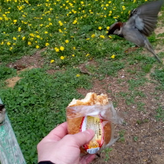 Александр , 04.04.1983, Оренбург