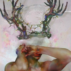 Антон Лернер, 19.04.1995, Санкт-Петербург