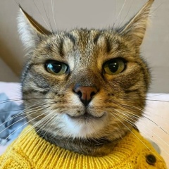 Игорь Кошкин, 01.09.1989, Санкт-Петербург