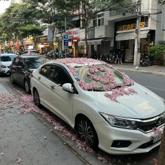 Георгий Яковлев, 21.11.1986, Алматы