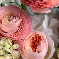 Сабина Маро, 14.01