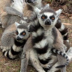 Светлана Краснова, 17.01.1976, Москва