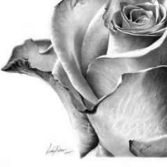 Лариса Масалова, Харьков