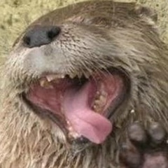 Катюняя Екимова, 24.02.1987, Санкт-Петербург