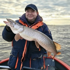 Дамир Давлятшин, 23.06.1974, Казань