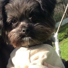 Мария Дёмкина, 22.06