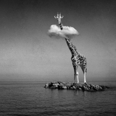 Екатерина Ливенская, 21.08.1989, Москва