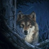 Алексей Саитов, 29.07, Москва